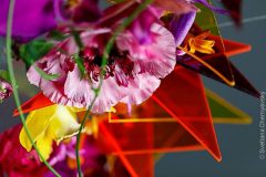 s_chernyavsky-design-fusion-flowers-magazine (14)