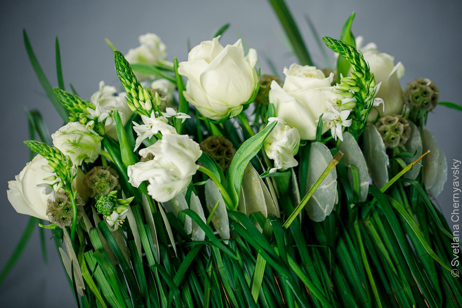 Floral Demonstration Garden Club