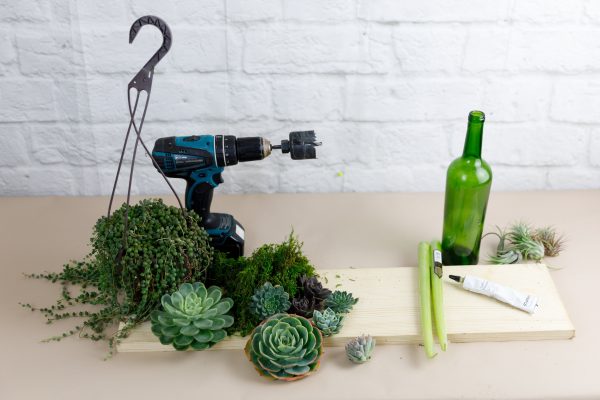 A Succulent garden with a modern approach. Step by step or DIY. Learn How