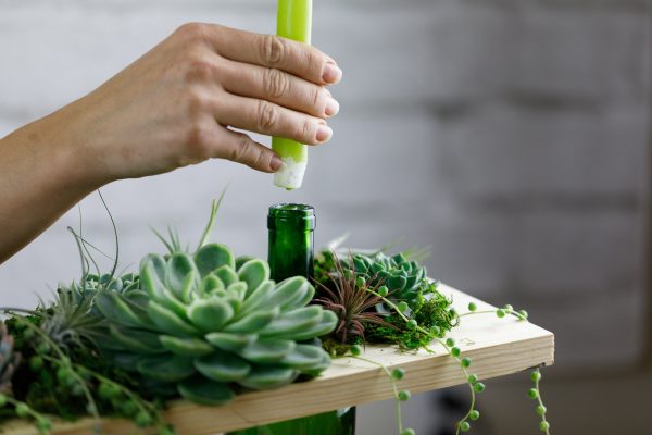 A Succulent garden with a modern approach. Step by step or DIY. Learn How