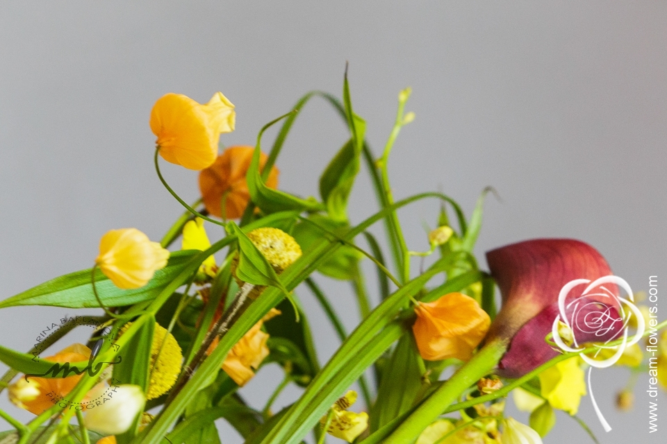 Demonstration at Orinda Garden Club